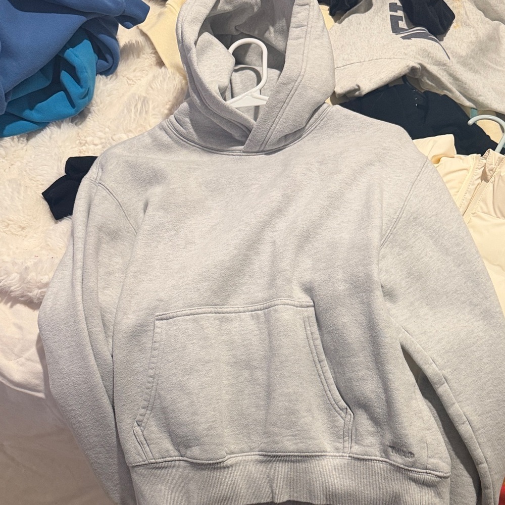Aritzia hoodie